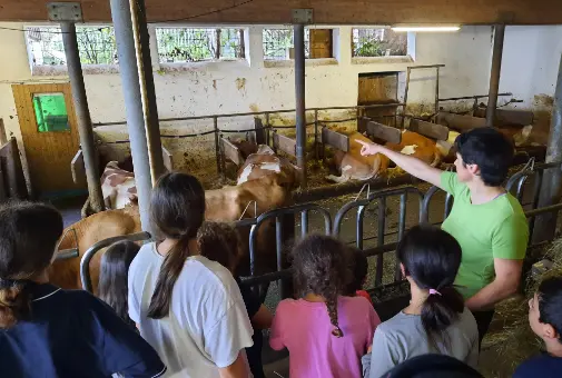 Kinder und Jugendliche stehen in einem Stall und beobachten Kühe. Eine Aufsichtsperson erklärt und zeigt auf etwas.